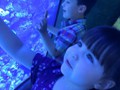 11701147_10154038141052662_8986891748590933809_n[1]